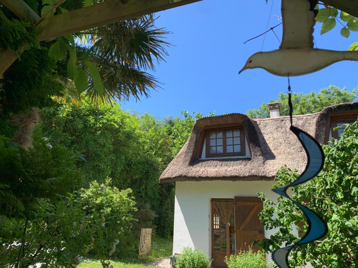 La Flore Marine Saint-Jouin-Bruneval Bagian luar foto