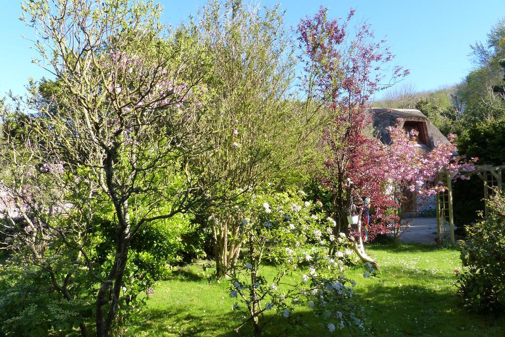 La Flore Marine Saint-Jouin-Bruneval Bagian luar foto